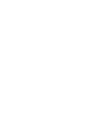 1.1-AI-Icon-min-light
