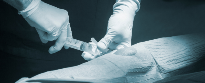 Infinx - Blog - How To Win Prior Authorization Approvals for Viscosupplementation