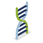 Lab Infinx Icon - DNA Strand 1